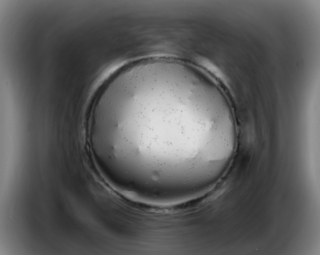 X0000086781415200704201815