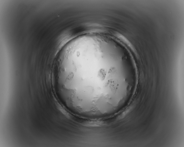 X0000086781417200704201815