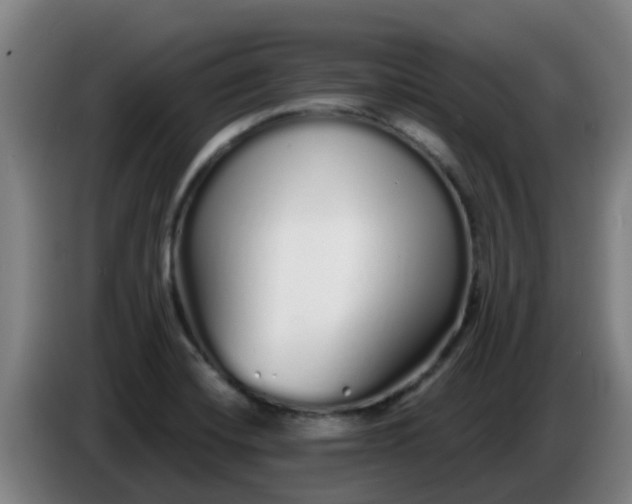 X0000086781420200704201815