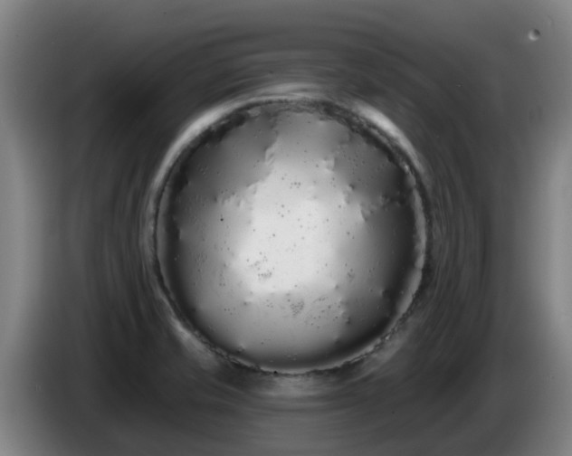 X0000086781421200704201815