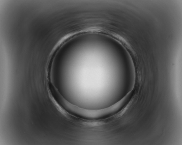 X0000086781422200704201815