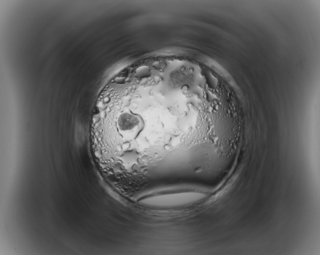 X0000086781425200704201815