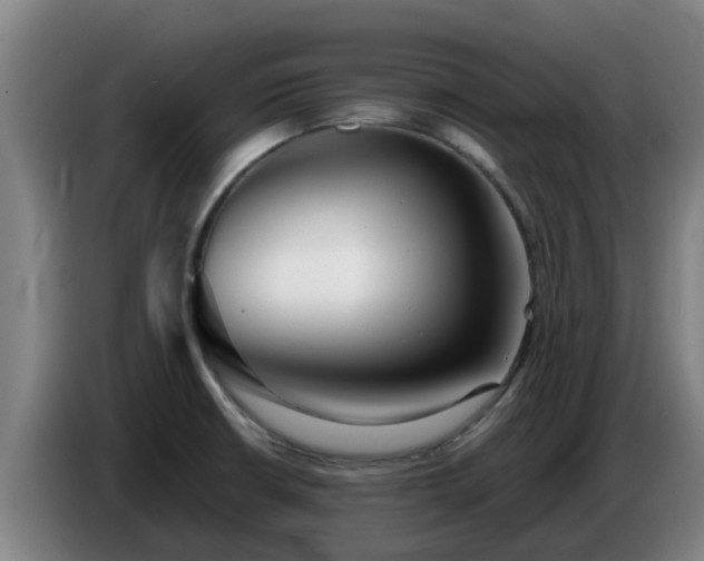 X0000086781426200704201815