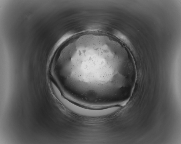 X0000086781427200704201815