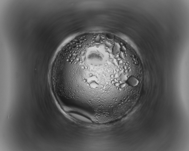 X0000086781429200704201815