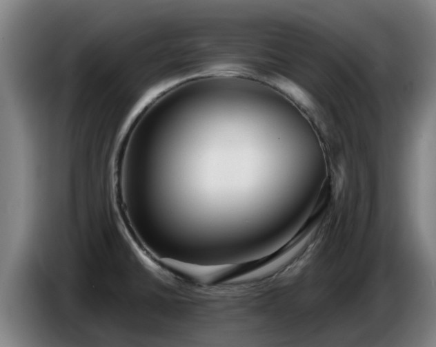 X0000086781430200704201815