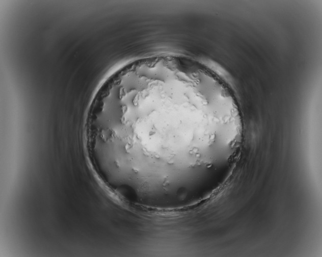 X0000086781431200704201815