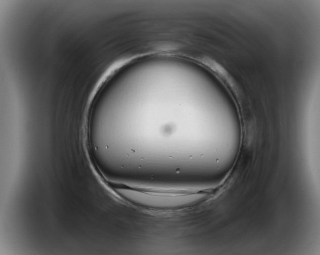 X0000086781432200704201815