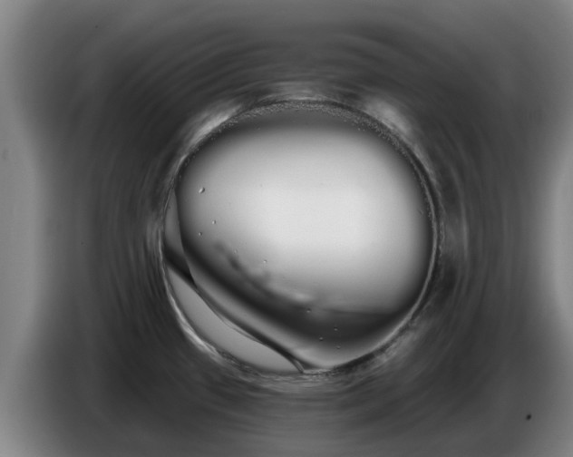 X0000086781433200704201815