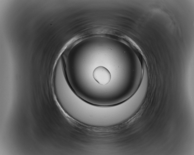 X0000086781434200704201815