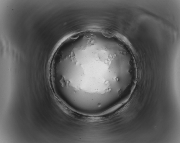 X0000086781435200704201815