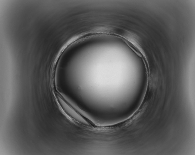 X0000086781437200704201815