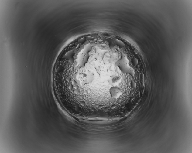 X0000086781439200704201815