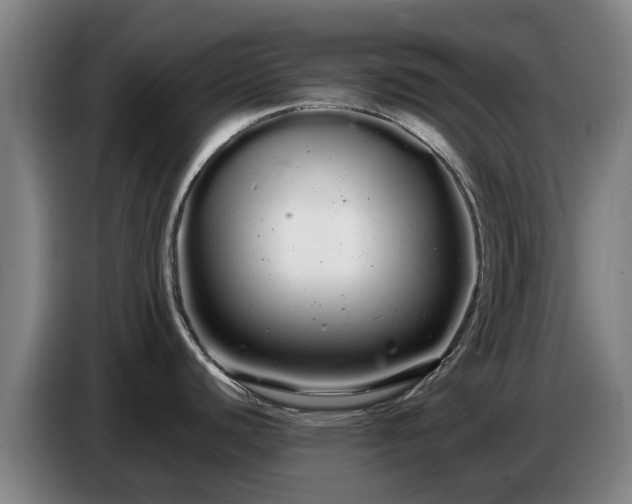 X0000086781440200704201815