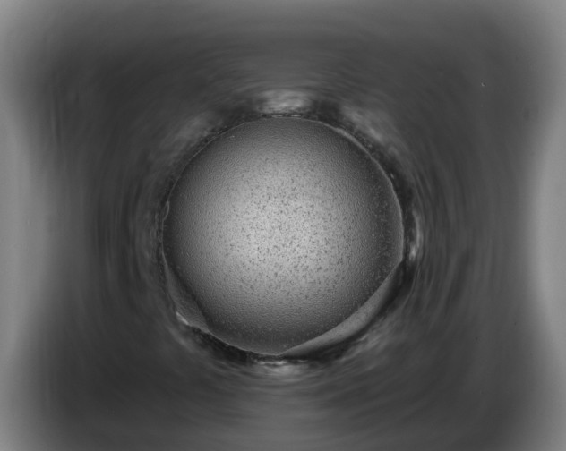 X0000086781441200704201815