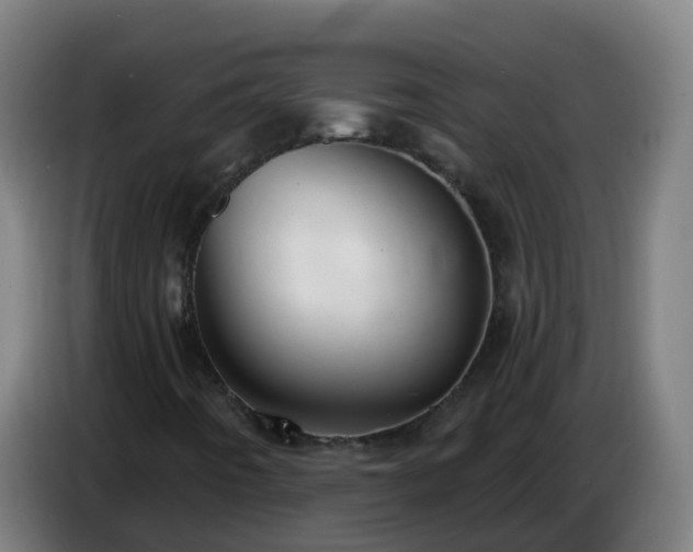 X0000086781442200704201815