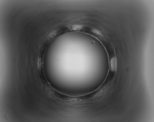 X0000086781443200704201815