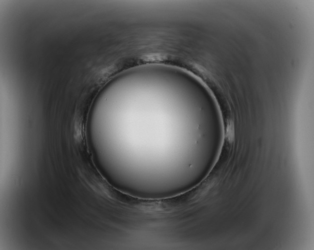 X0000086781444200704201815