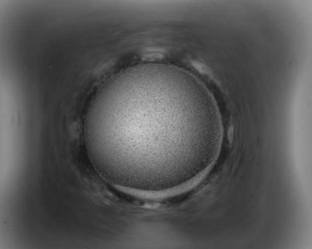 X0000086781445200704201815