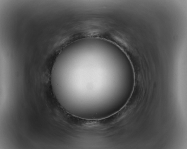 X0000086781447200704201815