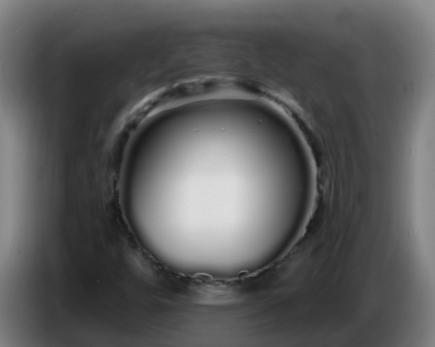 X0000086781448200704201815