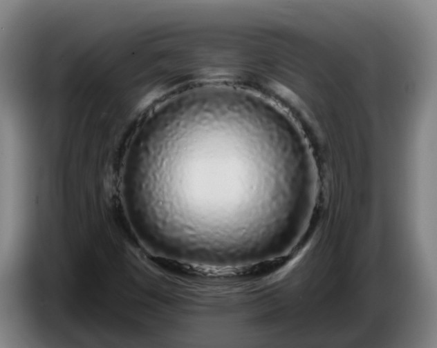 X0000086781449200704201815