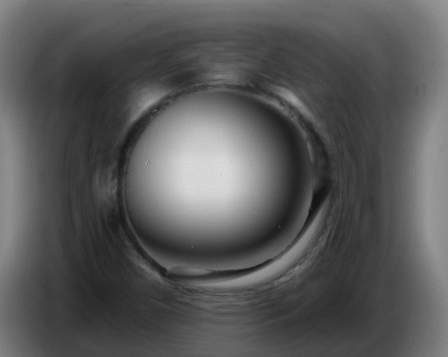 X0000086781450200704201815