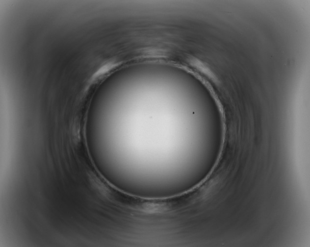 X0000086781451200704201815