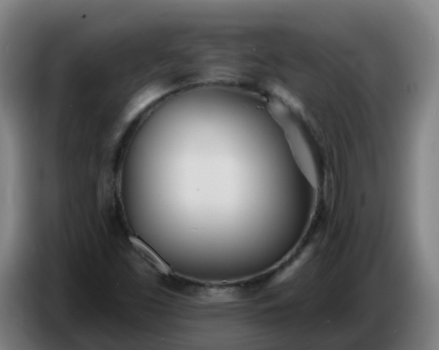 X0000086781453200704201815