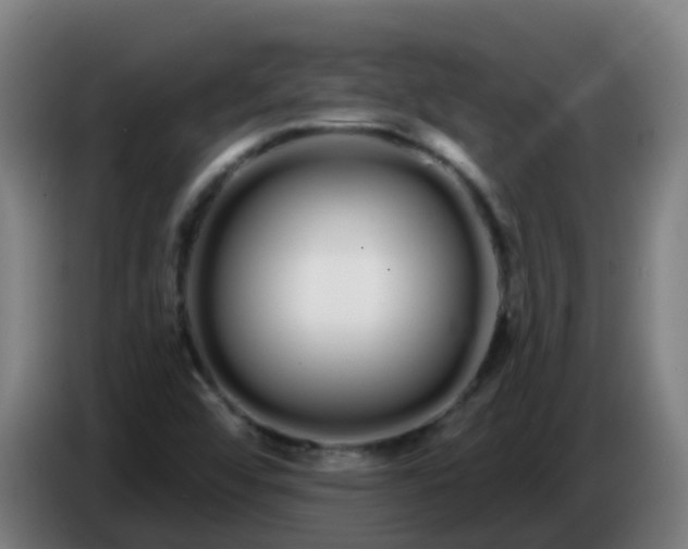 X0000086781456200704201815