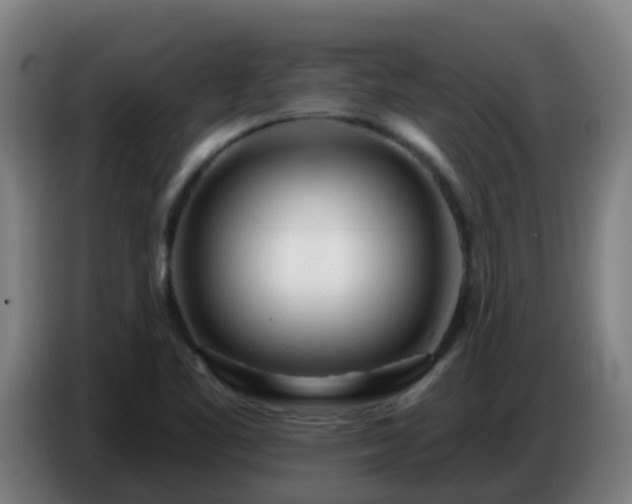 X0000086781461200704201815