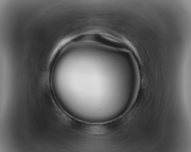 X0000086781464200704201815