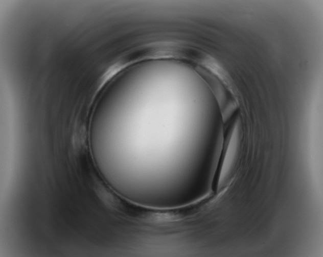 X0000086781465200704201814