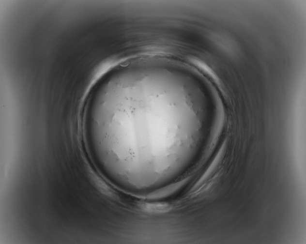 X0000086781467200704201814