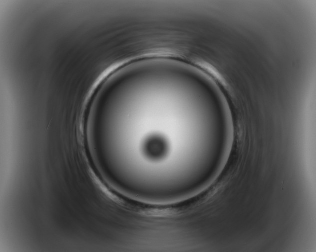 X0000086781468200704201814