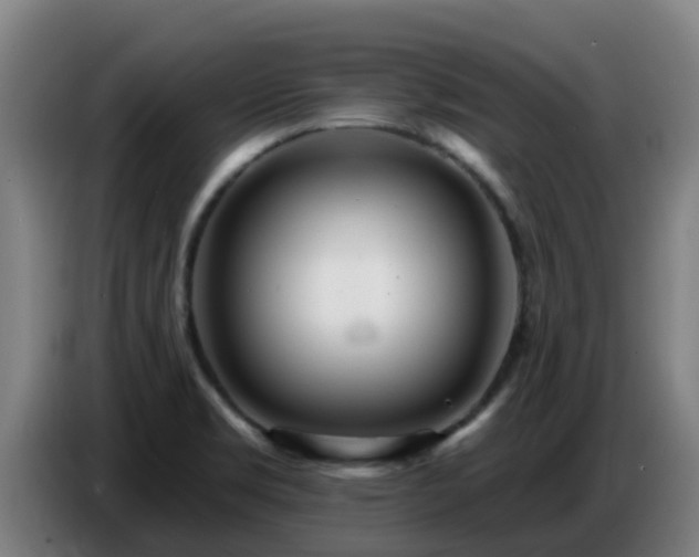 X0000086781469200704201814