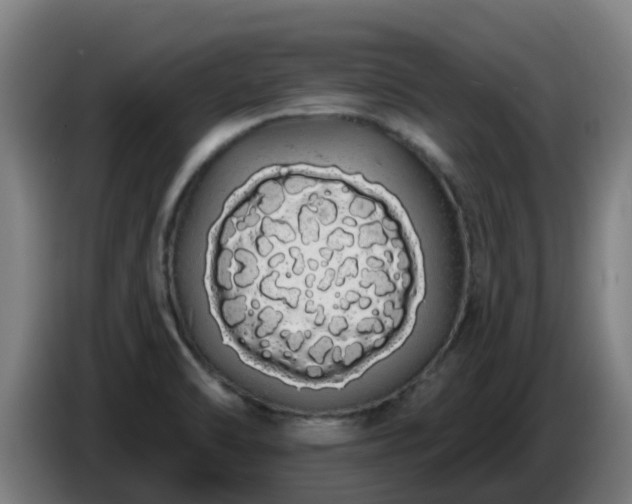 X0000086781470200704201814