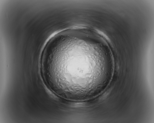 X0000086781471200704201814