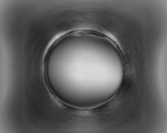 X0000086781472200704201814