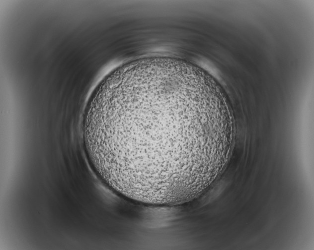 X0000086781474200704201814