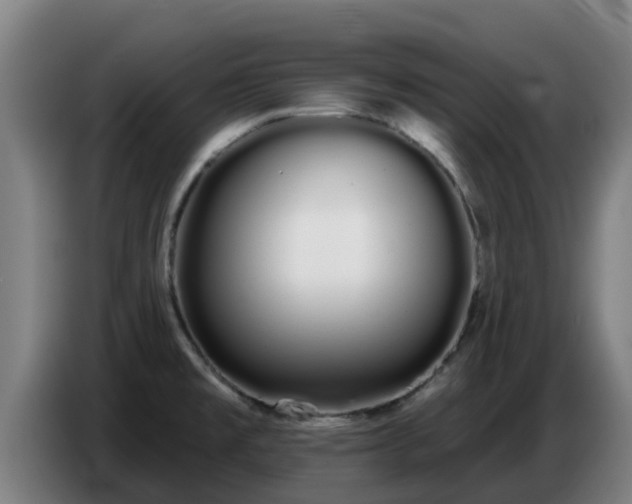 X0000086781477200704201814