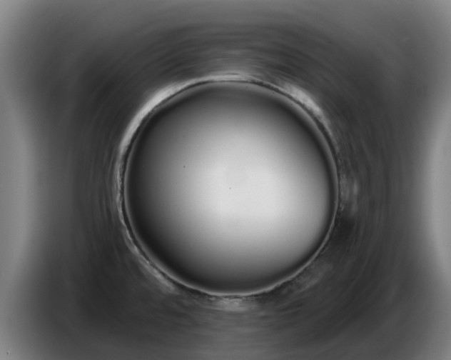 X0000086781480200704201814