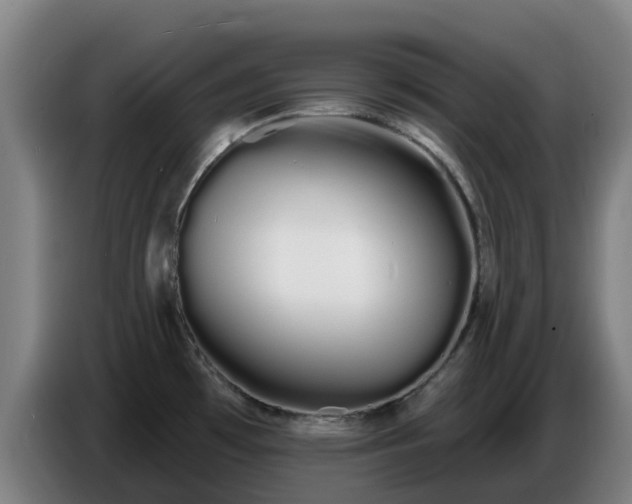 X0000086781481200704201814