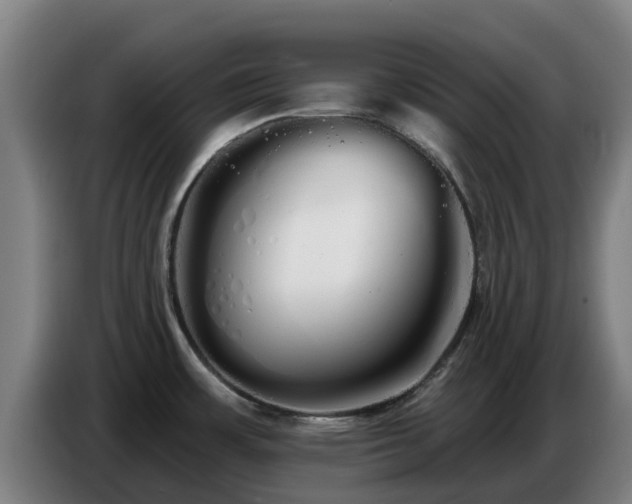 X0000086781483200704201814