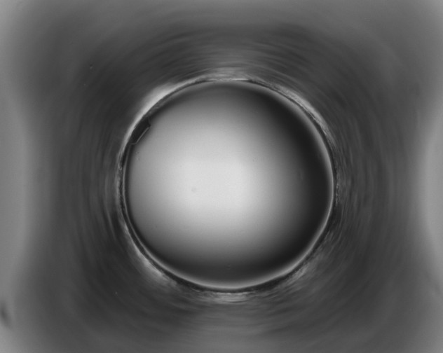 X0000086781484200704201814