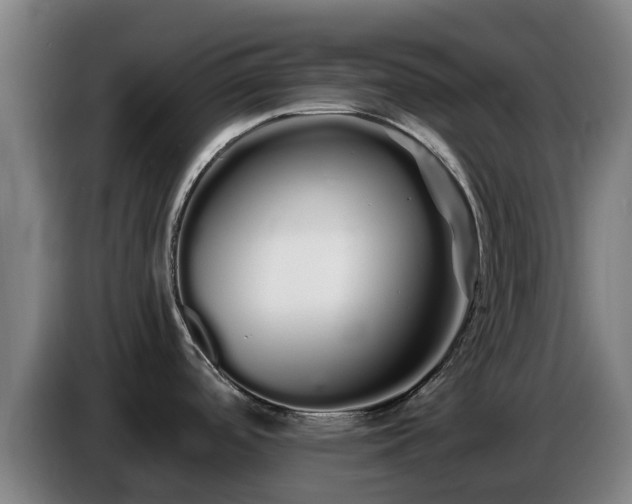 X0000086781488200704201814