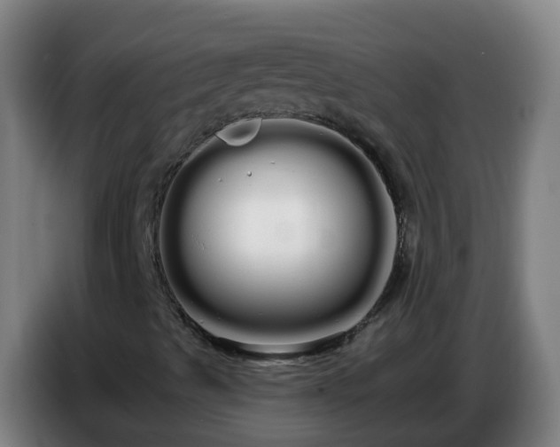 X0000086781489200704201814