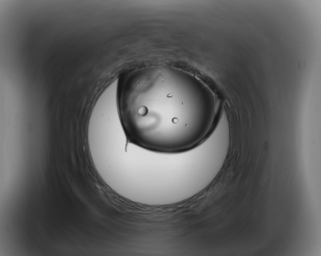 X0000086781492200704201814