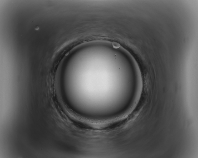 X0000086781494200704201814