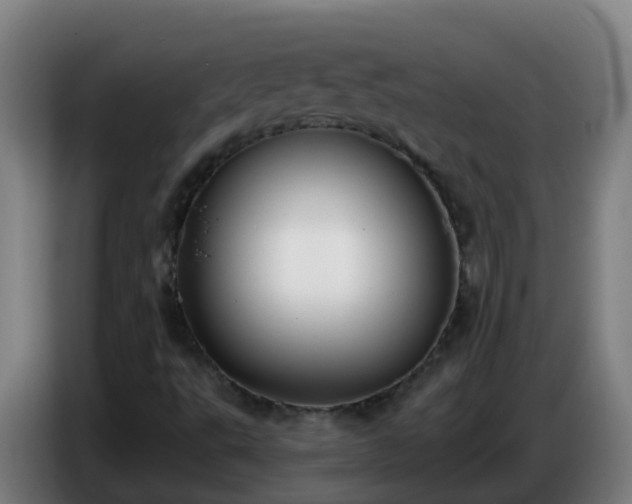 X0000086781495200704201814